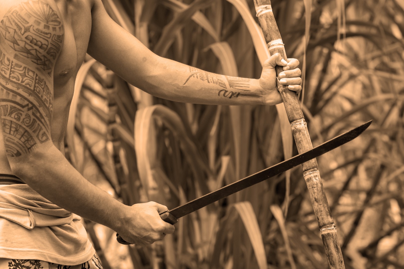 Herve Chapelier＊舟型トートＳ, image size:1620x1080